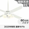 WF054 + WF227LR / WF227NR / WF227WR + WF976P1 オーデリック製シーリングファンライト メイン画像