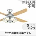 WF055 + WF228LR / WF228NR / WF228WR オーデリック製シーリングファンライト メイン画像