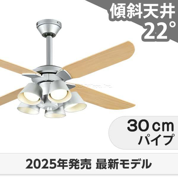 WF055 + WF229LR / WF229NR / WF229WR + WF983P1 オーデリック製シーリングファンライト メイン画像