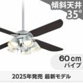WF056 + WF229LR / WF229NR / WF229WR + WF986P1 オーデリック製シーリングファンライト メイン画像