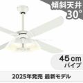 WF054 + WF226LR / WF226NR / WF226WR + WF976P1C オーデリック製シーリングファンライト メイン画像