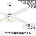 WF054 + WF227LR / WF227NR / WF227WR + WF976P1C オーデリック製シーリングファンライト メイン画像