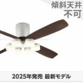 WF060(060#+910#) + WF299LR / WF299NR / WF299WR オーデリック製シーリングファンライト メイン画像