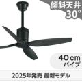 WF031 + WF744C オーデリック製シーリングファン メイン画像